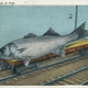Illustration for article titled Tall Tale Fishing Postcards, The Ultimate Humblebrag Of The Early 1900s